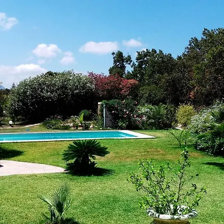 Villa Palmeraie *